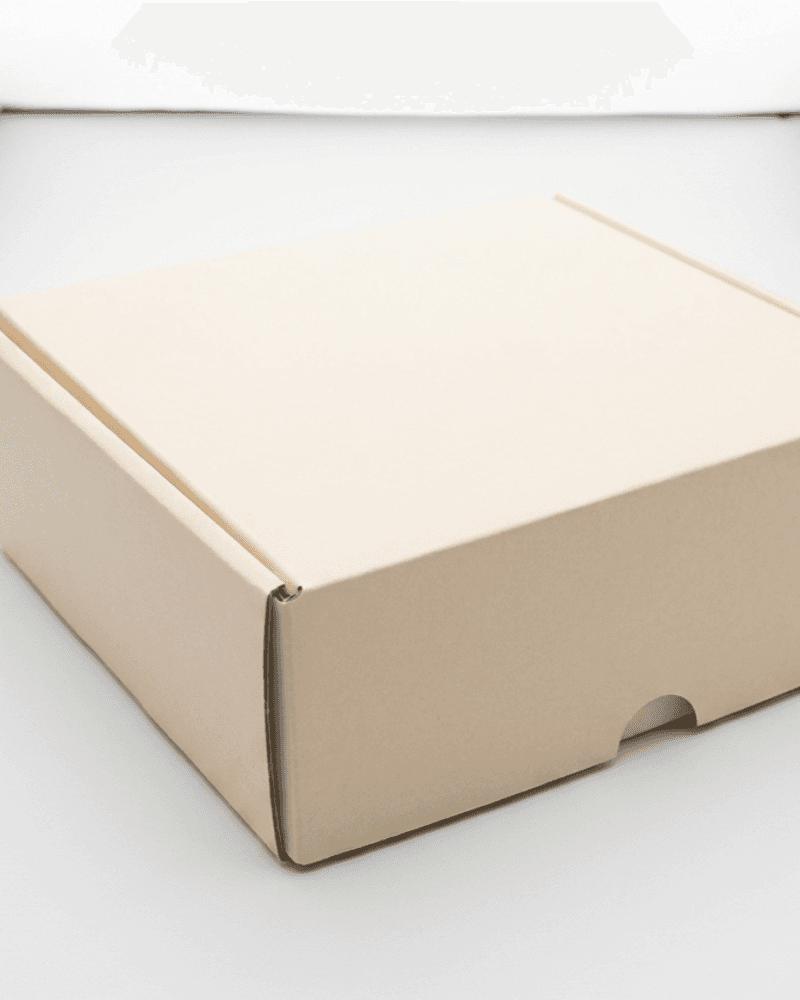 Natural kraft Amazon-style mailer box