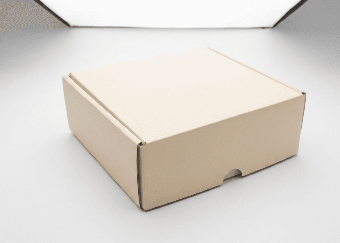 Natural kraft Amazon-style mailer box